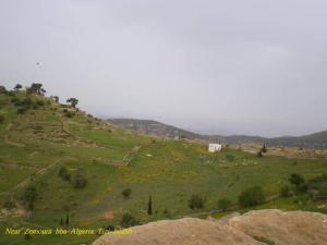 Verdure de Bordj Bou Arreridj au printemps