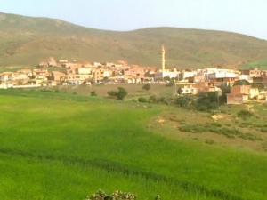 Verdure des Champs de Blés dans la périphérie de Hasnaoua