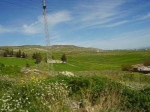 La verdure de Bordj Bou Arreridj au Printemps