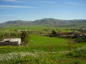 Verdure des prairies de Bordj Bou Arreridj au Pritemps