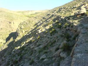 Paysage de la commune de Rabta