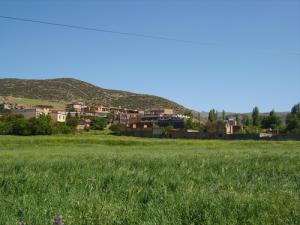 Verdure aux alentours de Ghilassa