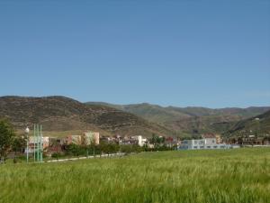 Verdure Ghilassa (Bordj Bou Arreridj)