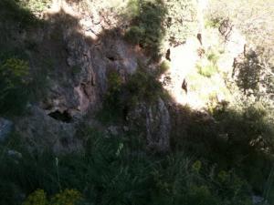 Grotte de Oued El Ghorfa à Kolea (Wilaya de Bordj Bou Arreridj)