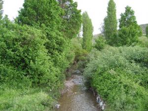 La Verdure de Ghilassa au Printemps