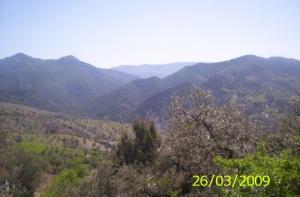 Les Montganes de Bordj Bou Arreridj