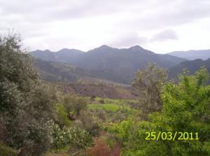 Vue des Montagnes de Bordj Bou Arreridj
