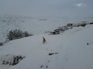 Ouled Chalabi sous la neige
