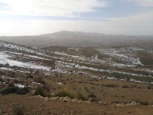 Région d'El-Ghaba sous la neige (Wilaya de Bordj Bou Arreridj)