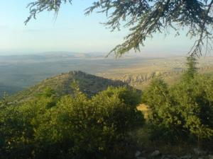 Vue depuis la montagne de Rohania à Bordj Bou Arreridj