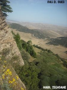 Beauté de Ras El Oued