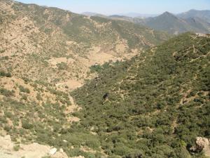 Les Montagnes Vertes de Bordj Bou Arreridj