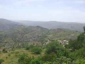 La Forêt de Thala n'balaid dans la commune de Tafreg