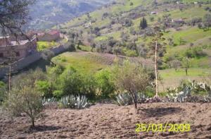 La région de Tighanimine à Bordj Bou Arreridj