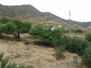 Aux alentours de Bordj Bou Arreridj