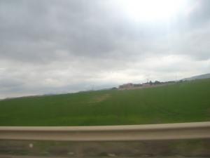 Verdure des Prairies à Hasnaoua