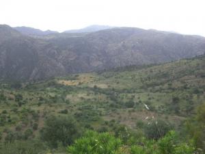 Verdure de la commune de Irman (Commune de Tafreg)