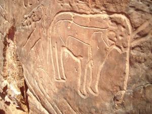 منحوتات من العصر الحجري تم اكتشافها بمنطقة  تيوت  (بلدية عين صفرة)