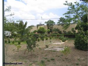 Jardin de l'Hôpital de Ras el oued
