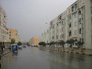 زواحف منطقة  تيوت  1