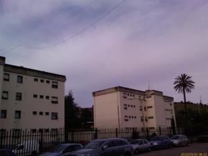 Des Immeubles à Thenia