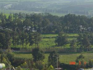 Verdure de Boumerdes