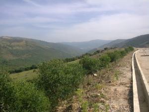 Près du Barrage de  Kedara (Wilaya de Boumerdes)