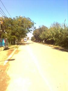 Route de Plage Corso (Boumerdes)