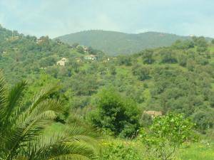 Le Village de Sidi Ali Bou Nab au Milieu de la verdure