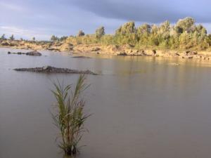Oued Sebaou à Boumerdes