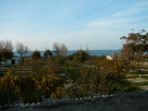 Complexe  Zitouna (Côte de Boumerdes)