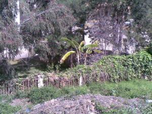 Paysage de Boumerdes