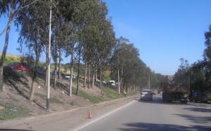 Route de la Plage  Corso  (Côte de Boumerdes)