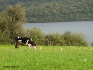 Beauté de la nature aux alentours de Boumerdes