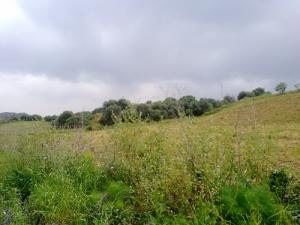 Paysage Naturel aux abords de Boumerdes