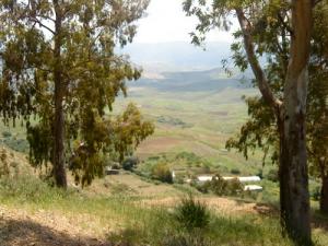 Paysage de Ain Amara