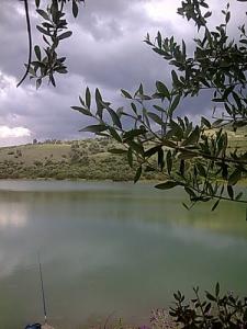 Pêche au Barrage Kaddara