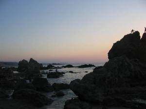 Les Rochers de la Plage  Figuier