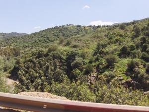 La Forêt de Lakhdaria