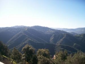 Paysage de Boumerdes