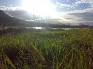 Paysage de Oued Sabaou