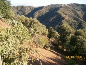 Paysage de Boumerdes