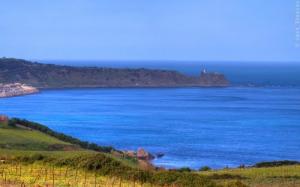 Bleu de Mer sur la côte de Dellys