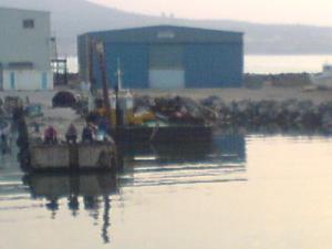 Port de Pêche de Zemmouri