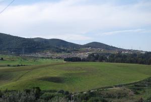 Verdure aux alentours de Boumerdes