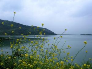 La Côte de Boumerdes