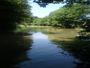 La Rivière de la commune de Boudouaou