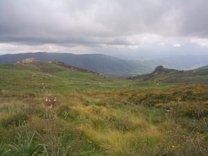 Collines verdoyantes d'Ighil (nord de Tarihant)