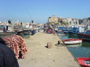 Port de Pêche de Zemmouri