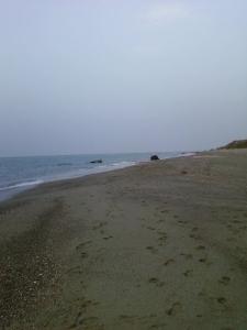 Hedjret les Moules vue de l'Ouest